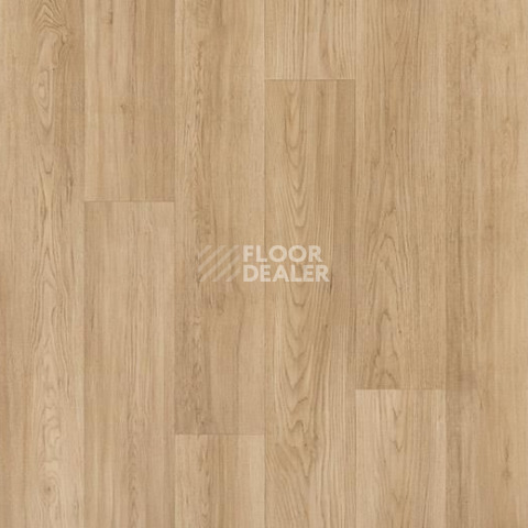 Линолеум Forbo Sarlon Wood 19dB 8513T4319 blond chill oak фото 1 | FLOORDEALER